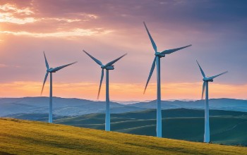 Green public procurement: 2026's biggest missed Opportunity?