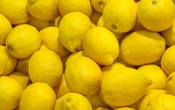 Citrus exports to Middle East maintained 