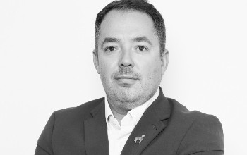 Yes - SA importers can thrive 