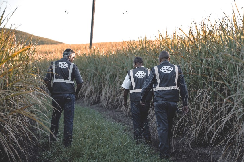 From silos to shared solutions: Rethinking supply chain resilience in Africa 