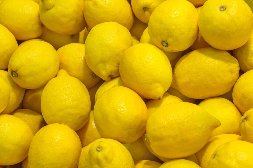 Citrus exports to Middle East maintained 